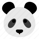 panda, chinese panda, animal, animals, wild, mammal, wild animal, wild animals, head