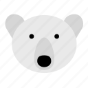 polar bear, animal, bear, mammal, wild, head, face
