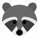raccoon, trash panda, coon, animal, mammal, animals, wild, pet, head
