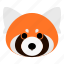 redpanda, red panda, wild, cute, wild animal, animal, mammal, animals, head 