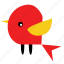red, animal, bird, fly, pet, wings, yellow 