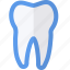 dental, medical, object, tooth 
