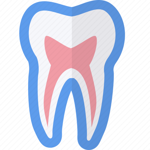 Dental, medical, pulp, tooth icon - Download on Iconfinder