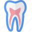 dental, medical, pulp, tooth 