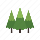 canada, conifer, evergreen, forest, nature, pine, tree