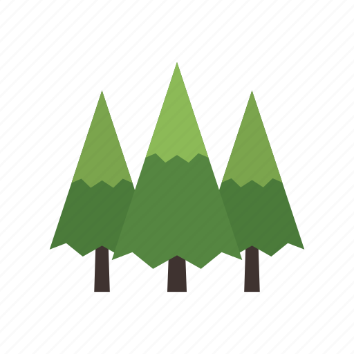 Canada, conifer, evergreen, forest, nature, pine, tree icon - Download on Iconfinder