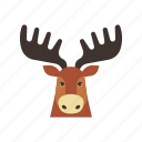 animal, canada, characteristic, mascot, moose, nature, wild