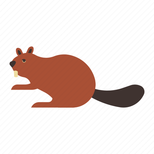 Animal, beaver, canada, characteristic, mascot, river, wild icon - Download on Iconfinder