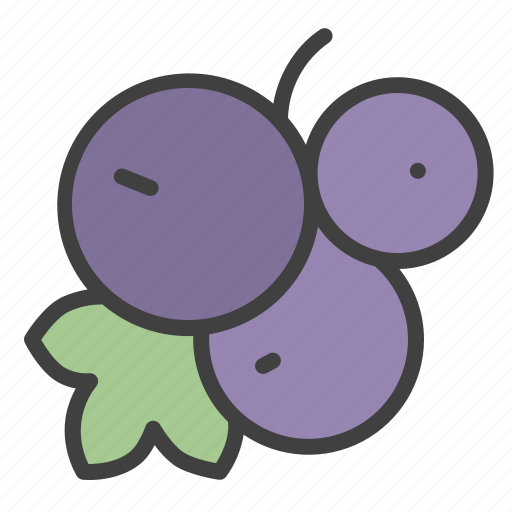 Currant, organic, nature, plant, berry icon - Download on Iconfinder