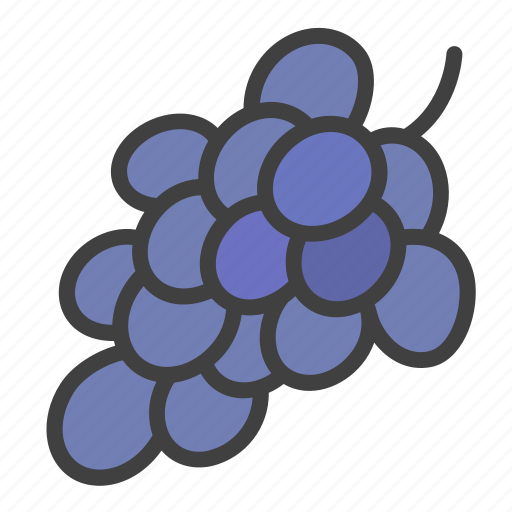 Grape, berry, fruit, organic icon - Download on Iconfinder