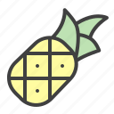 pineapple, fruit, taste, juice, organic