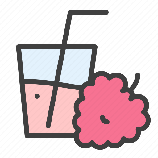 Raspberry, lemonade, blackberry, drink, juice icon - Download on Iconfinder