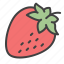 strawberry, wild-strawberry, taste, organic