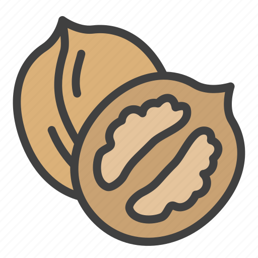 Wallnut, nut, taste icon - Download on Iconfinder