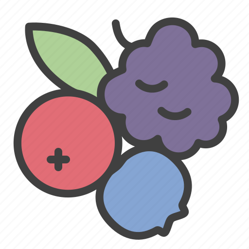 Wild, berry, wild berries, mix icon - Download on Iconfinder