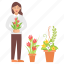 female, florist, gardener, plant vase, flower pot, flowers, roses 