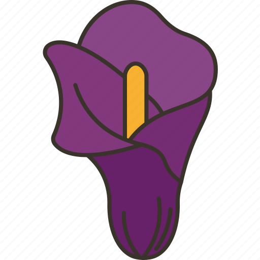 Calla, lily, blossom, fragrant, flora icon - Download on Iconfinder