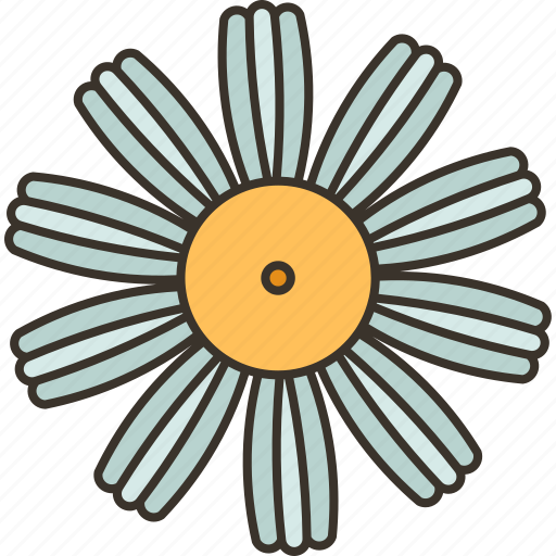 Camomile, daisy, herb, flora, spring icon - Download on Iconfinder