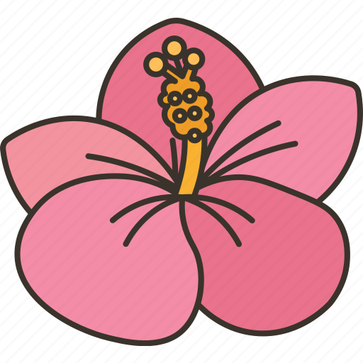 Chaba, flower, blooming, tropical, plant icon - Download on Iconfinder