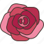 rose, flower, blossom, petal, valentine 