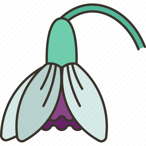 Snowdrop, galanthus, flower, blossom, spring icon - Download on Iconfinder