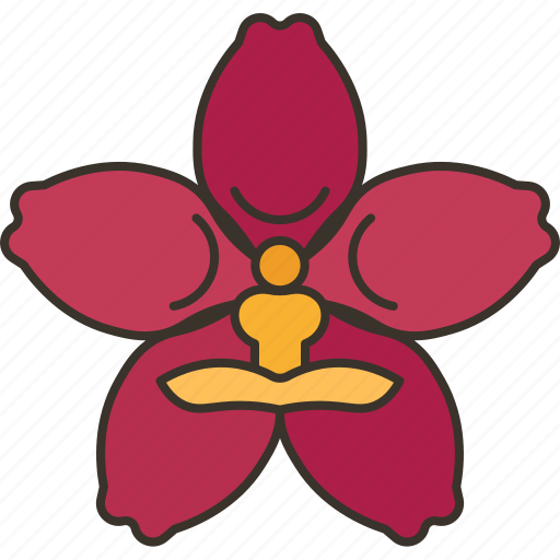 Vanda, orchid, blossom, garden, decorative icon - Download on Iconfinder