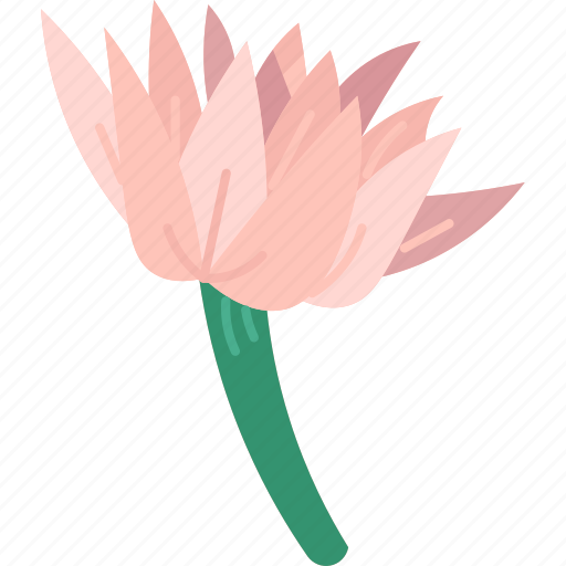 Bullet, wood, flower, plant, botanical icon - Download on Iconfinder