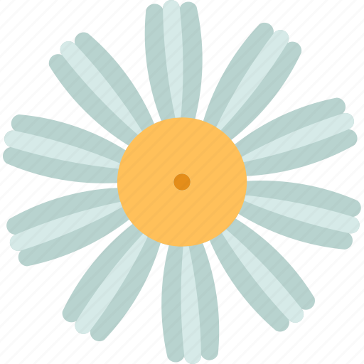 Camomile, daisy, herb, flora, spring icon - Download on Iconfinder