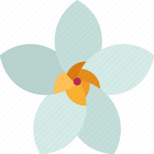 Frangipani, plumeria, blossom, tropical, plant icon - Download on Iconfinder