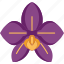 orchid, blossom, botanical, flora, petal 