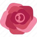 rose, flower, blossom, petal, valentine