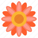flower1, blossom, flower, petals, nature, shapes, and, symbols