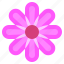 flower2, blossom, flower, petals, nature, shapes, and, symbols 