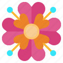 flower21, blossom, flower, petals, nature, shapes, and, symbols