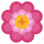 flower5, blossom, flower, petals, nature, shapes, and, symbols 