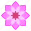 flower6, blossom, flower, petals, nature, shapes, and, symbols 