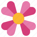 flower8, blossom, flower, petals, nature, shapes, and, symbols