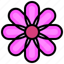 flower2, blossom, flower, petals, nature, shapes, and, symbols