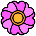 flower25, blossom, flower, petals, nature, shapes, and, symbols