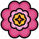 flower5, blossom, flower, petals, nature, shapes, and, symbols