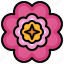 flower5, blossom, flower, petals, nature, shapes, and, symbols 