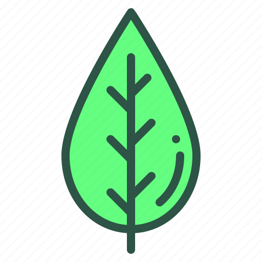 Floral, foliage, leaf, nature, plant icon - Download on Iconfinder