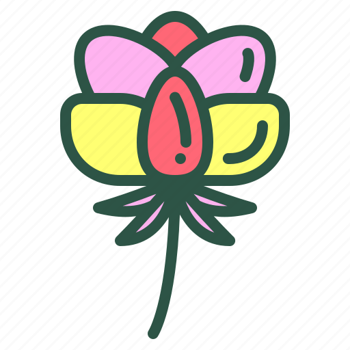Blossom, floral, flower, nature, poeny icon - Download on Iconfinder