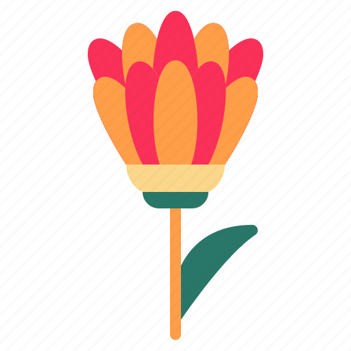 Blossom, floral, flower, marigold, nature icon - Download on Iconfinder