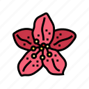 rhododendron, flower, spring, blossom, floral, petal