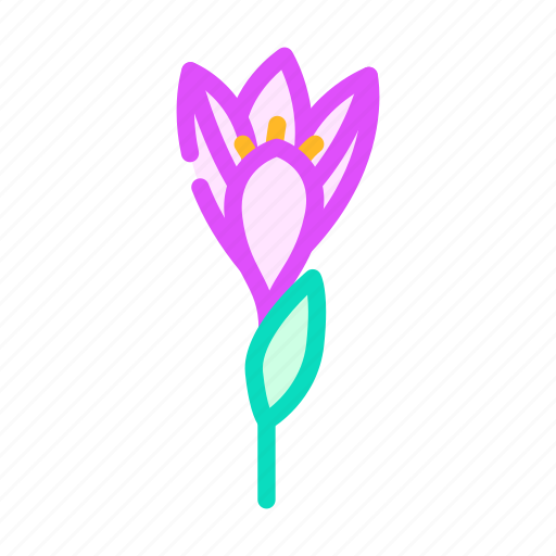 Crocus, flower, spring, floral, blossom, nature icon - Download on Iconfinder