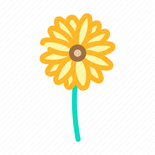 Eyed, susan, flower, spring, floral, blossom icon - Download on Iconfinder