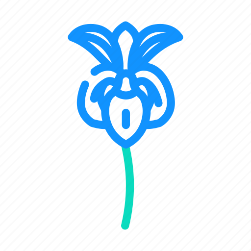 Iris, flower, spring, floral, blossom, nature icon - Download on Iconfinder