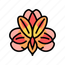 alstroemeria, blossom, spring, flower, floral, nature