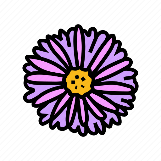 Aster, blossom, spring, flower, floral, nature icon - Download on Iconfinder
